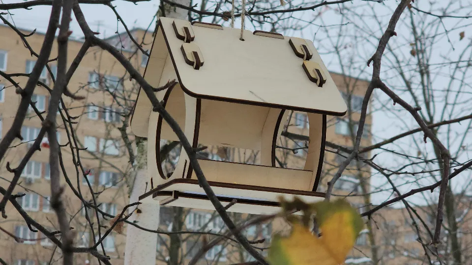 Фото: МедиаБанк Подмосковья/Юлия Смагринская