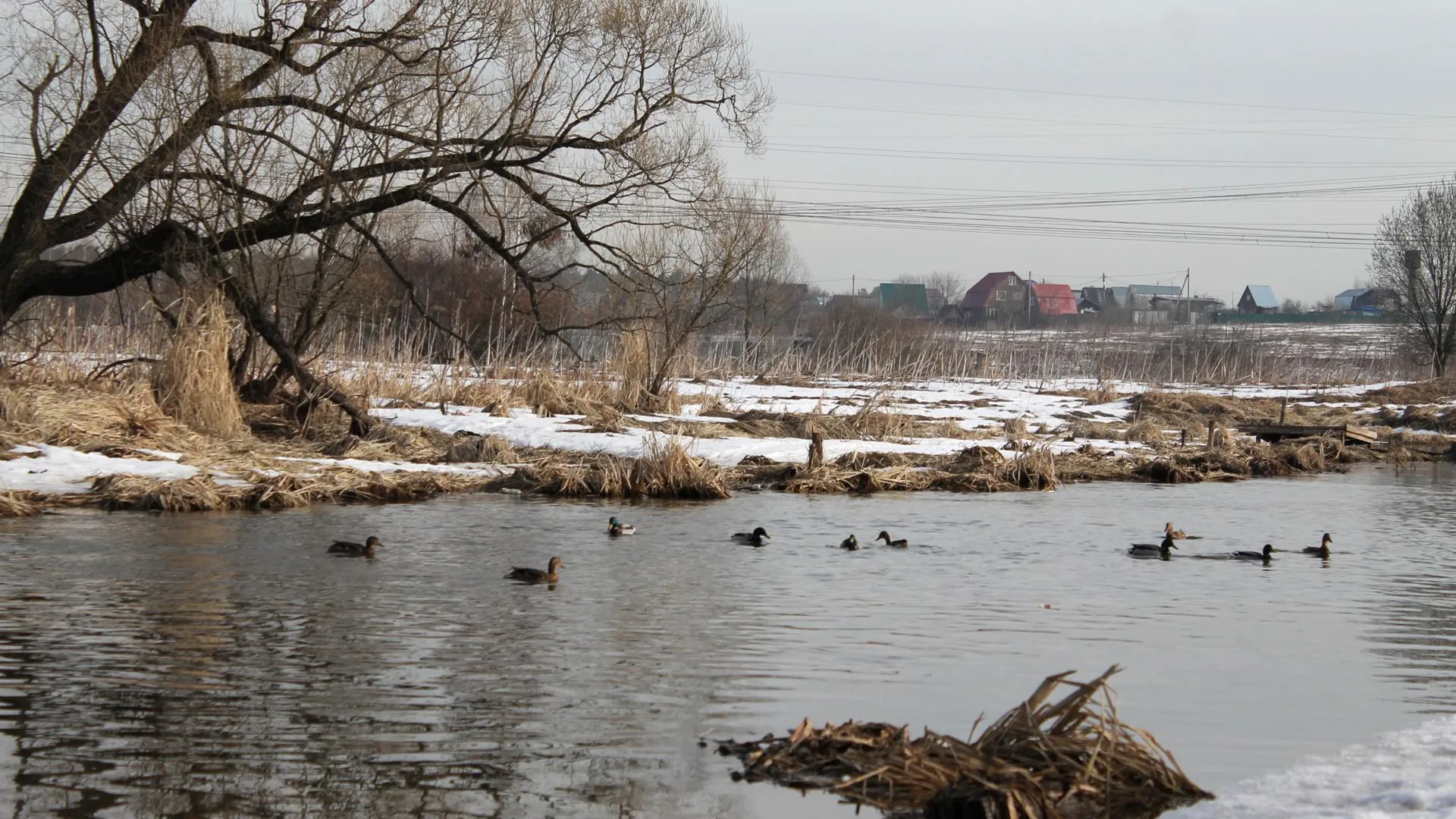 медиасток.рф