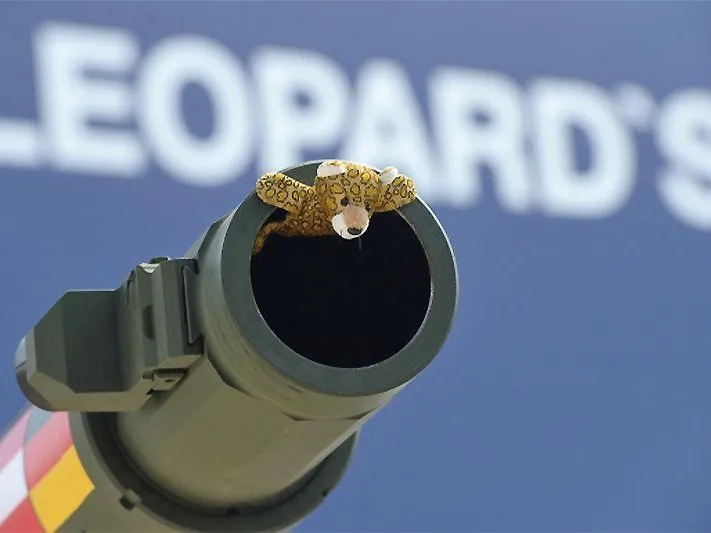 Известный профессор объяснил, почему Германия не поставит на Украину современное оружие