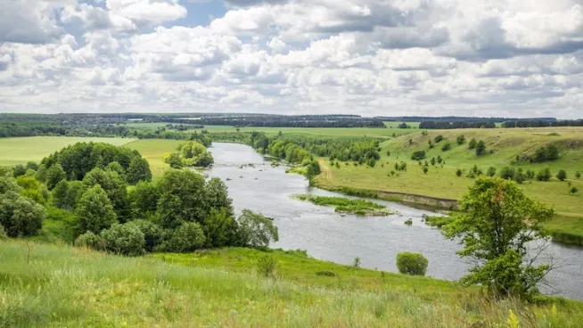 Фото: ru.freepik.com