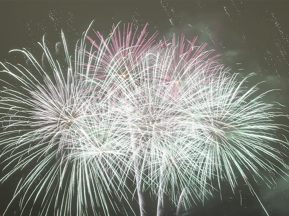 «У них спутниковая навигация»: выяснилось, мог ли салют на Рублевке быть сигналом для вражеских БПЛА