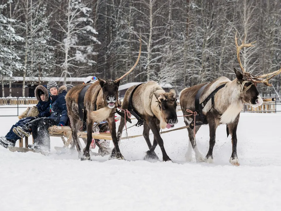 Фото: медиасток.рф