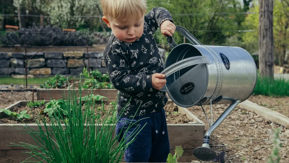 Фото: unsplash.com