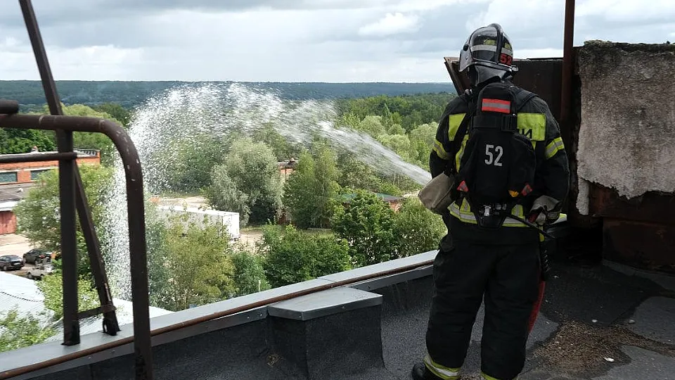 Фото: Мария Панина