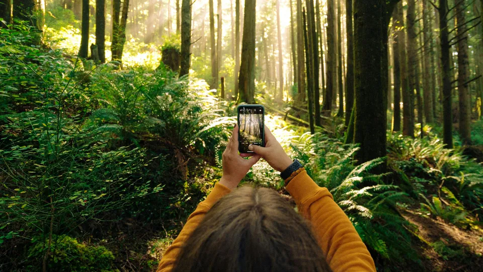 Фото: unsplash.com