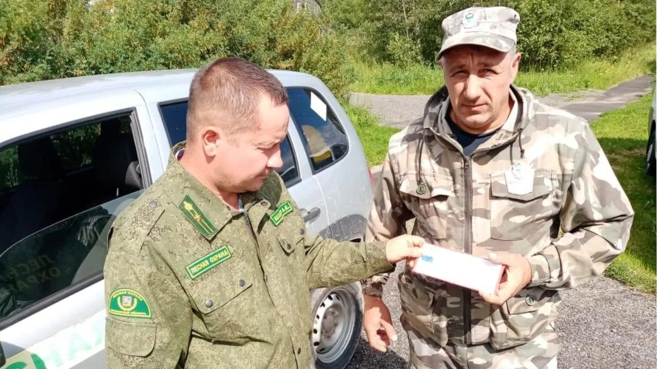 Жители Подмосковья продолжают присоединяться к рядам общественных лесных инспекторов