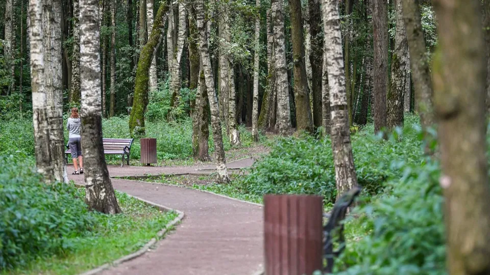 Фото: пресс-служба Администрации г.о. Химки