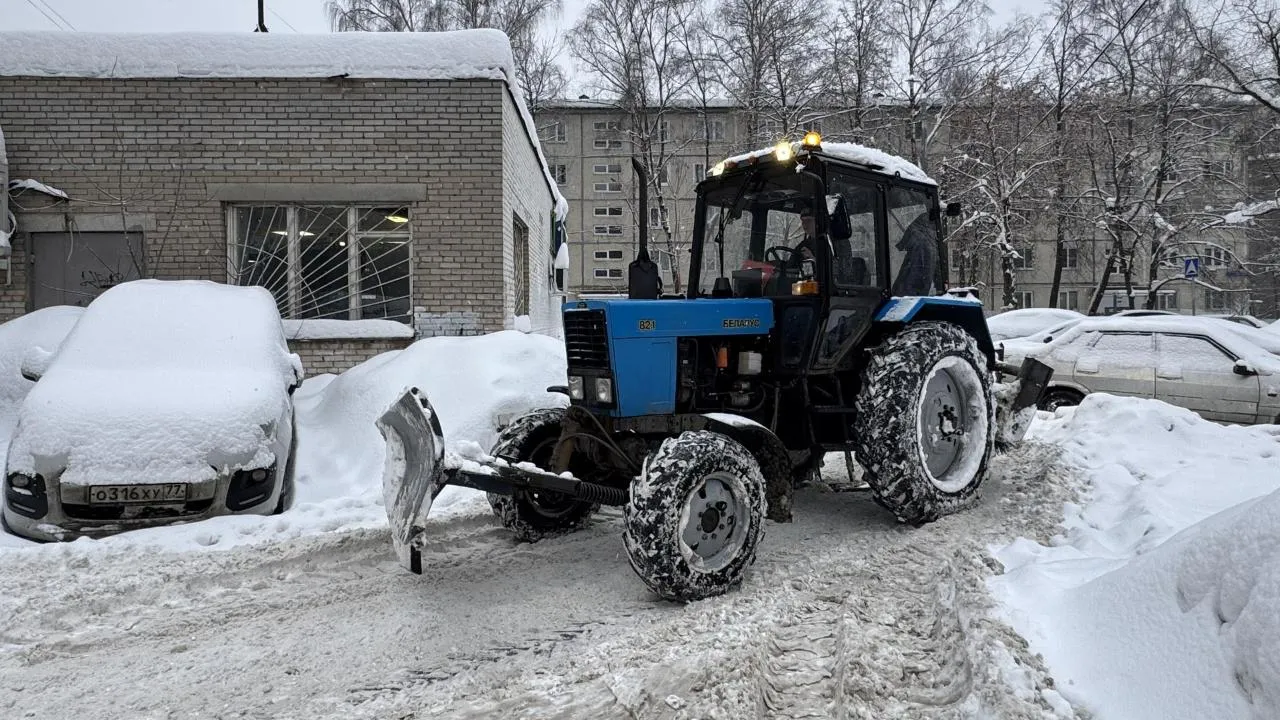 Виктория Фортуна