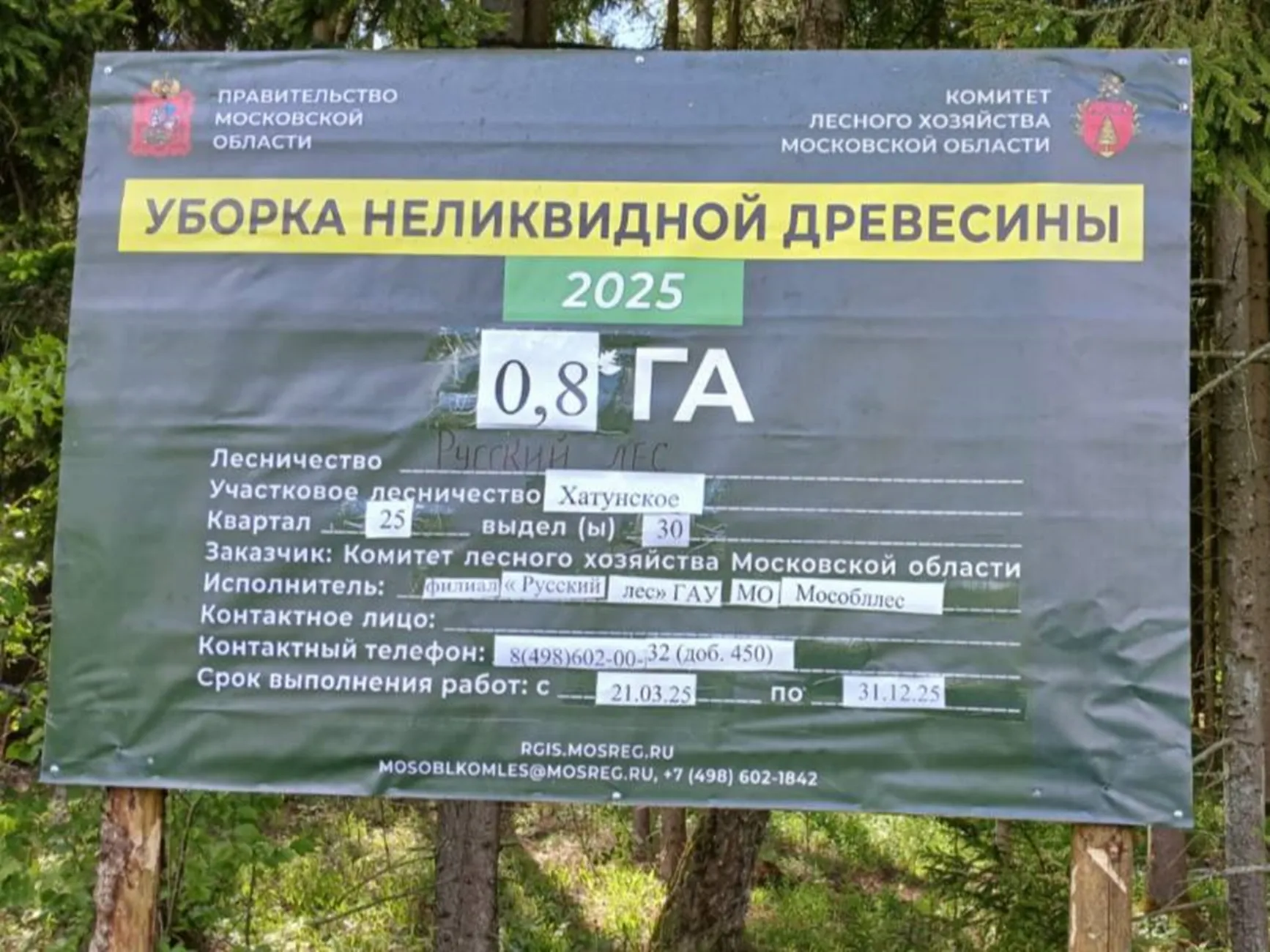 Фото:&nbsp;«Мособллес»