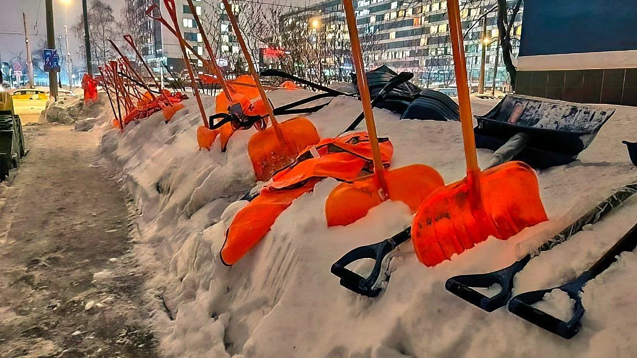 REGIONS/Роман Малышенко