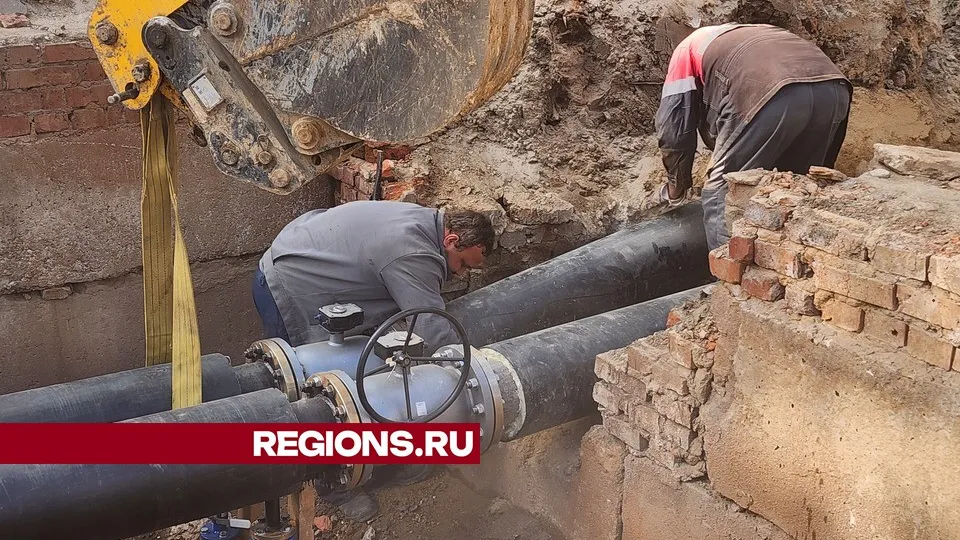 Фото: МедиаБанк Подмосковья/Дмитрий Беденко