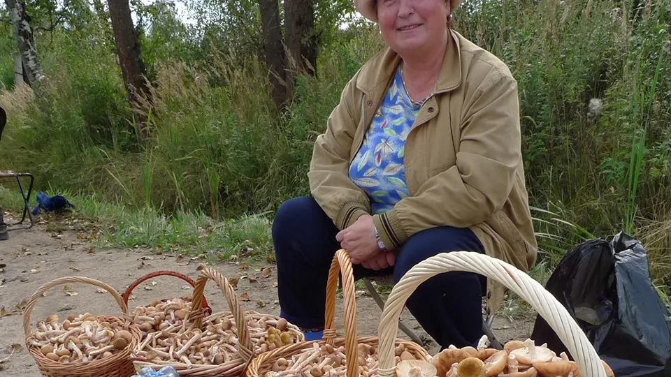 Фото: медиасток.рф