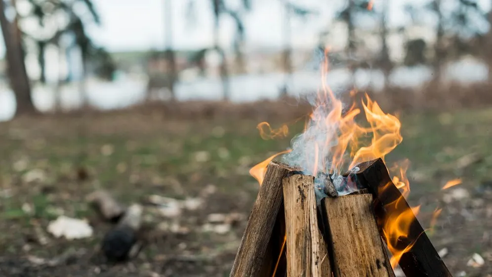 Фото: ru.freepik.com