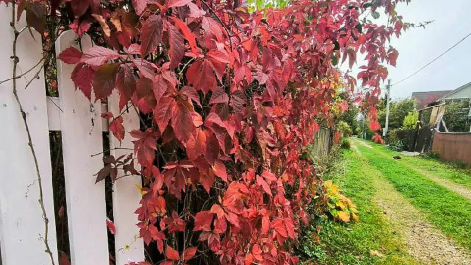 Фото: REGIONS/Роман Малышенко