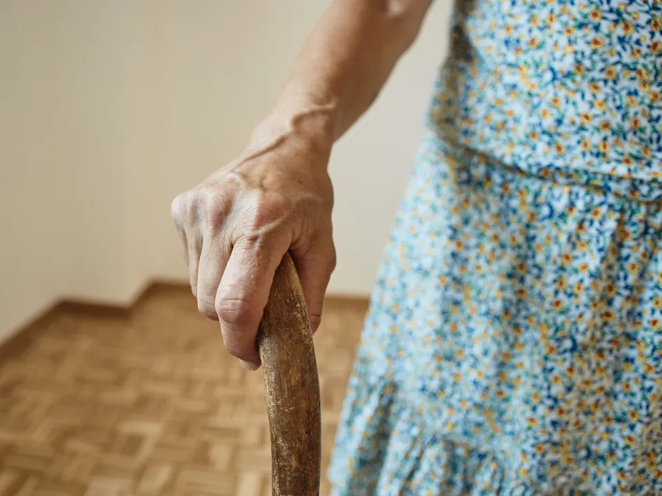 Фото: istockphoto.com/SanyaSM