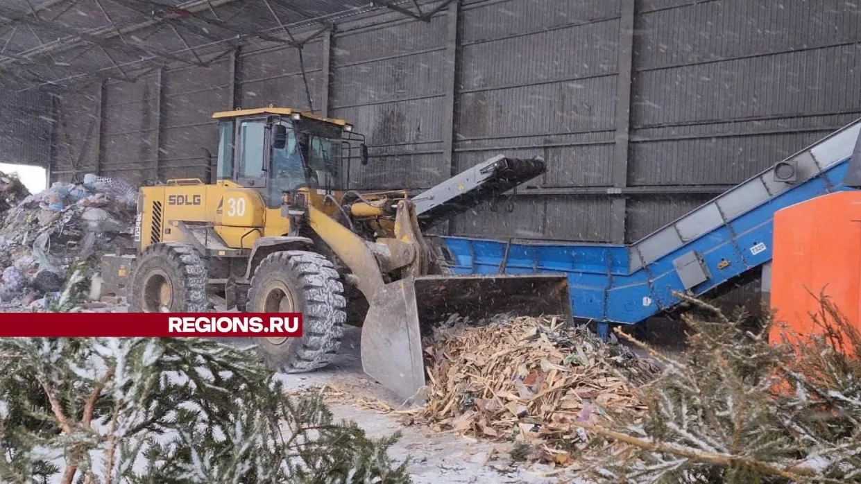 Фото: Юлия Андросова