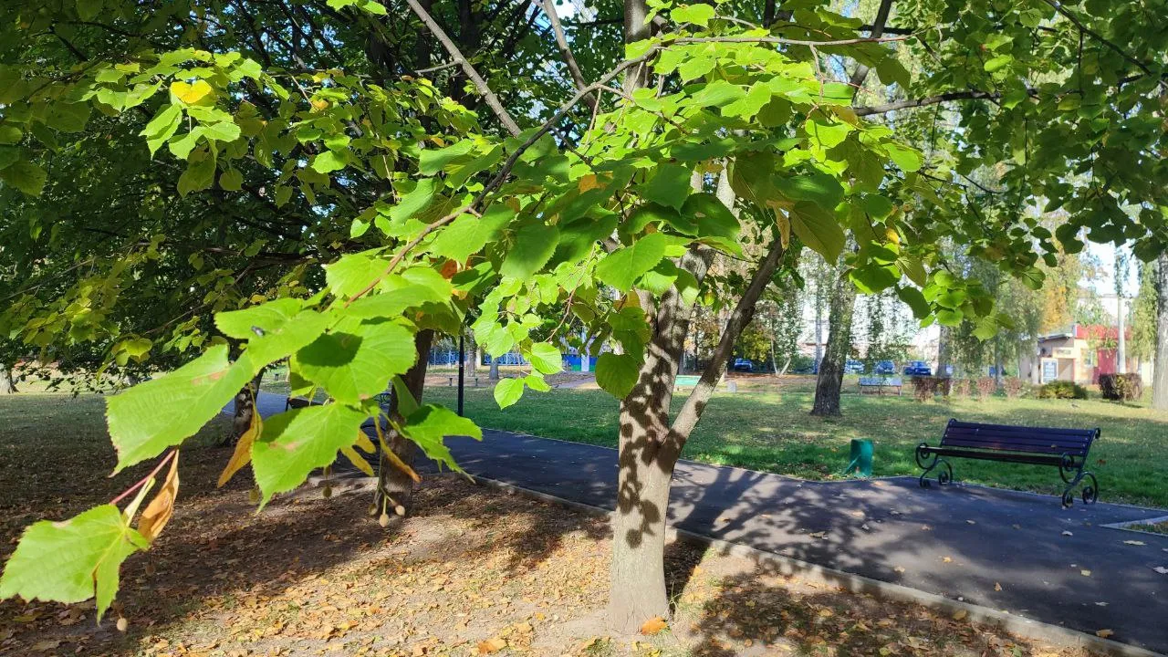 Фото: REGIONS/Елена Забелина