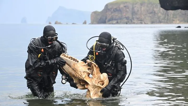 Фото: GLOBAL LOOK PRESS