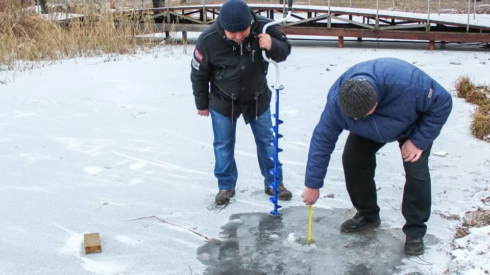 Фото: администрация г.о. Реутов