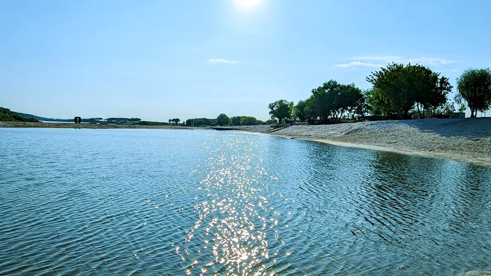 Фото: REGIONS/Алексей Селиверстов