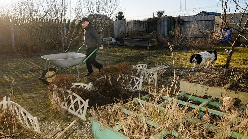 Денис Трудников/Подмосковье сегодня