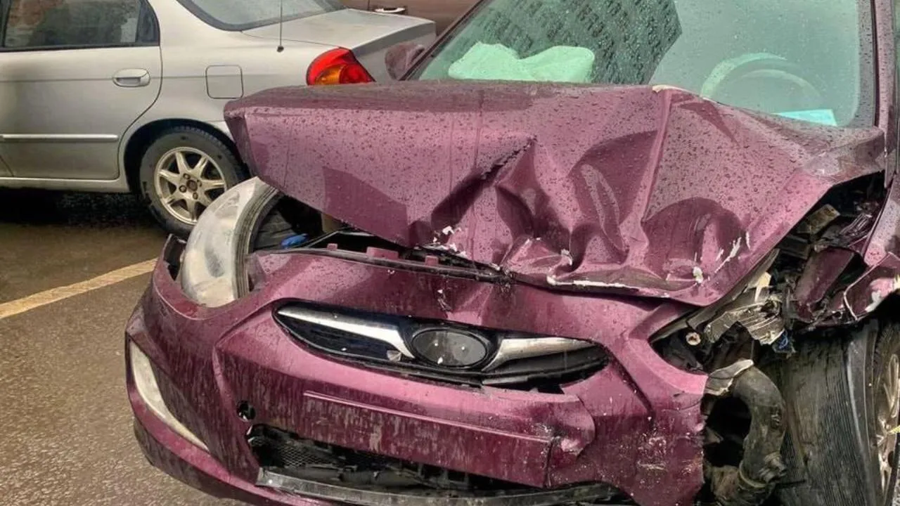 пресс-служба ГУ МВД России по Московской области