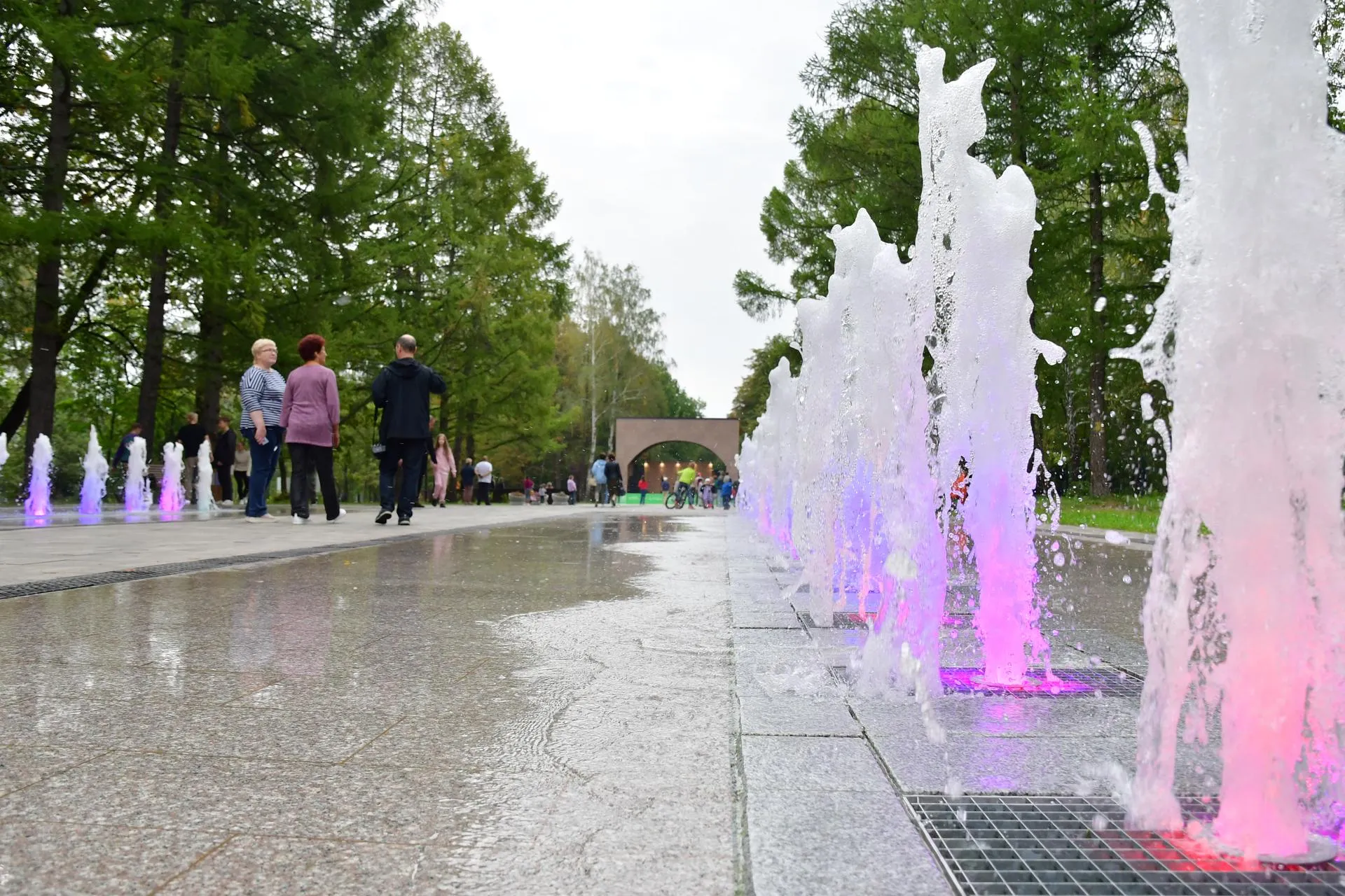 Фото: Наталья Бычкова/Ступинская панорама
