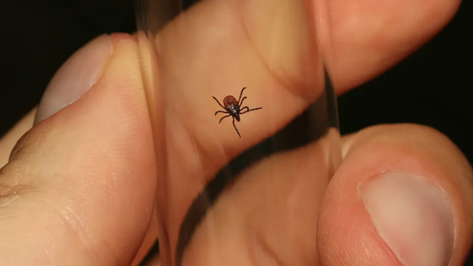 Фото: unsplash.com