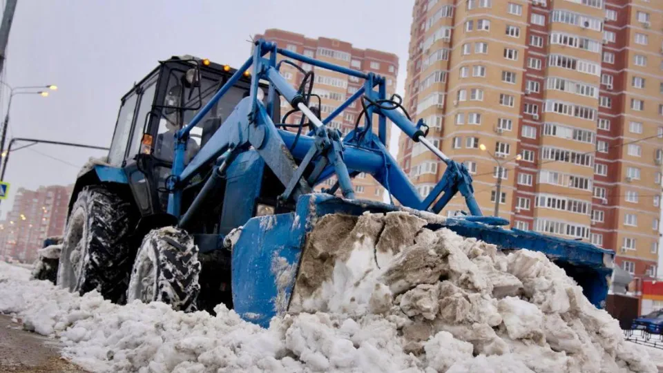 Фото: пресс-служба администрации г. о. Домодедово