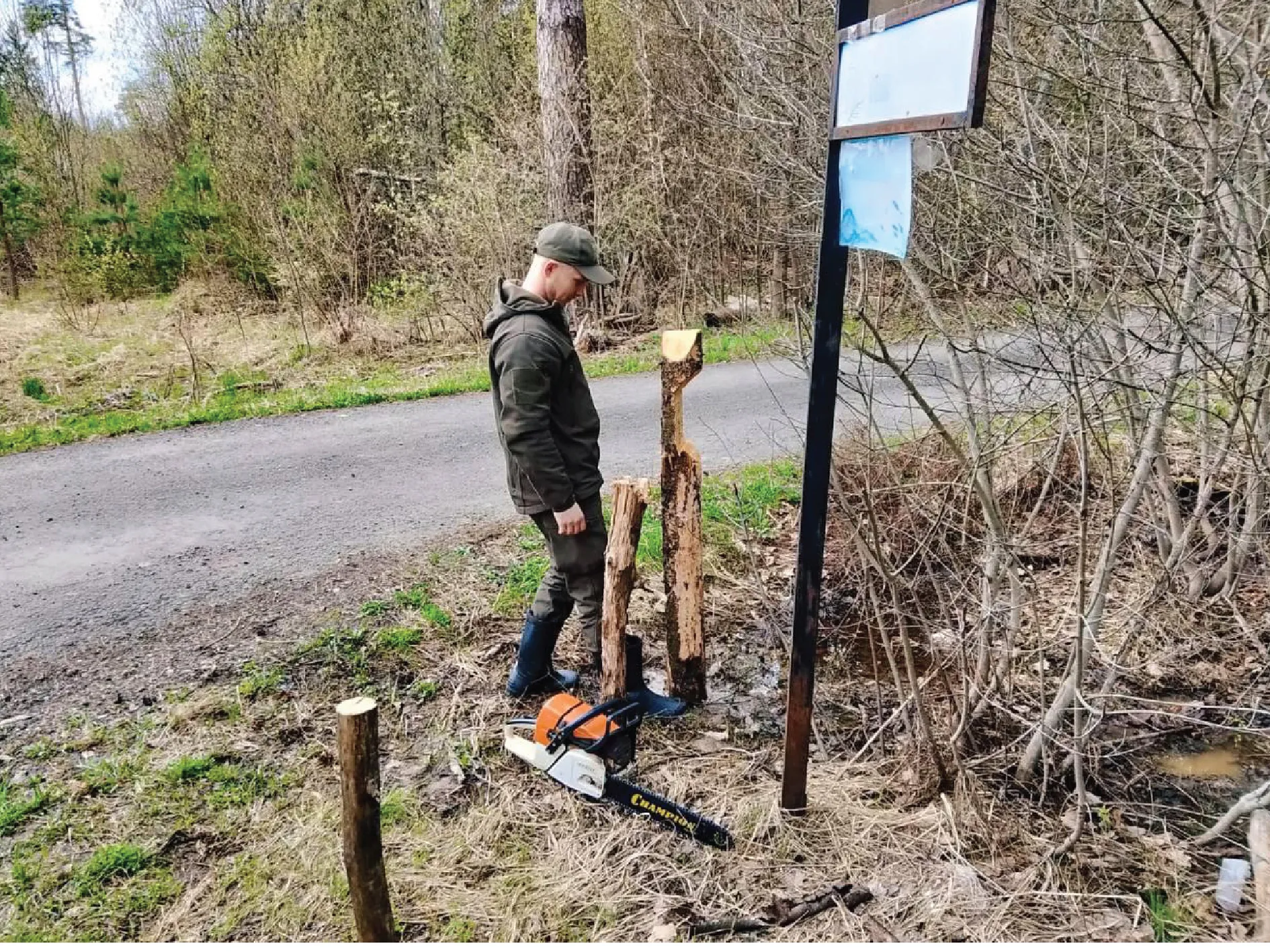 Фото: Комлесхоз МО