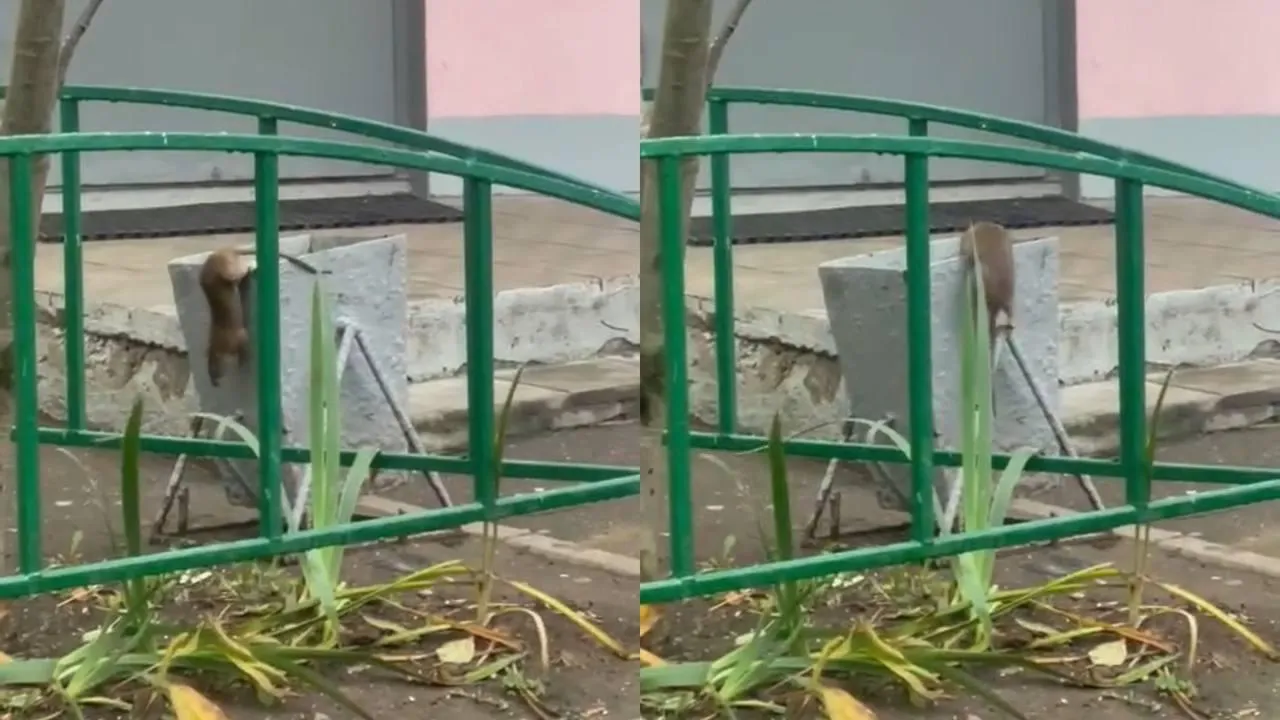 фото: соцсети