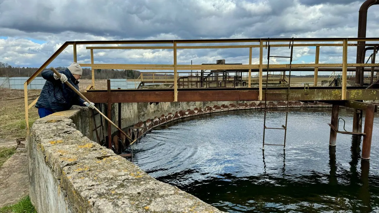 Фото: Пресс-служба администрации г.о. Можайск