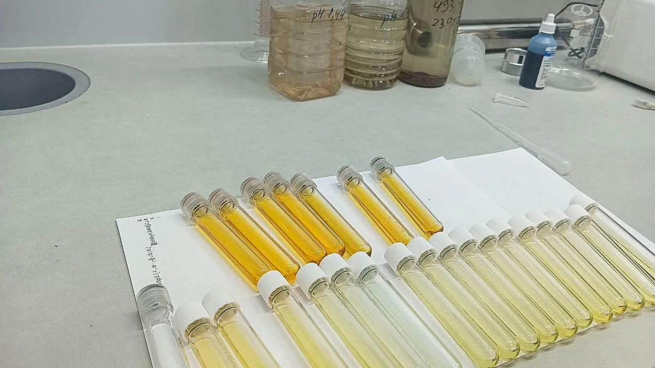 REGIONS/Наталья Пичугина