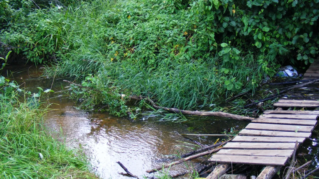 Комитет по конкурентной политике Московской области