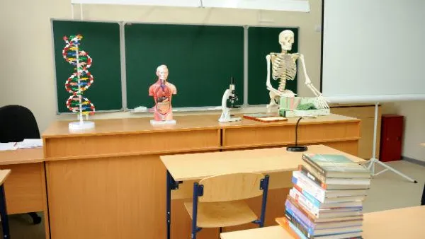 Ирина Зубарева / Фотобанк МО