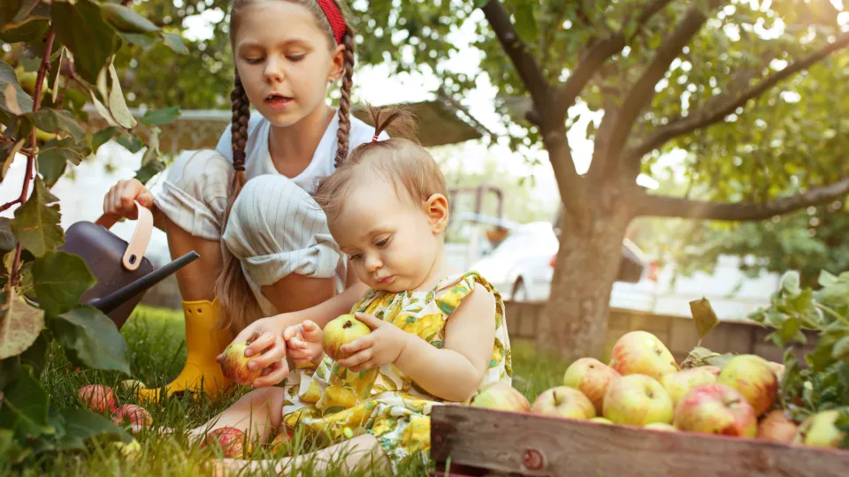 Фото: freepik.com