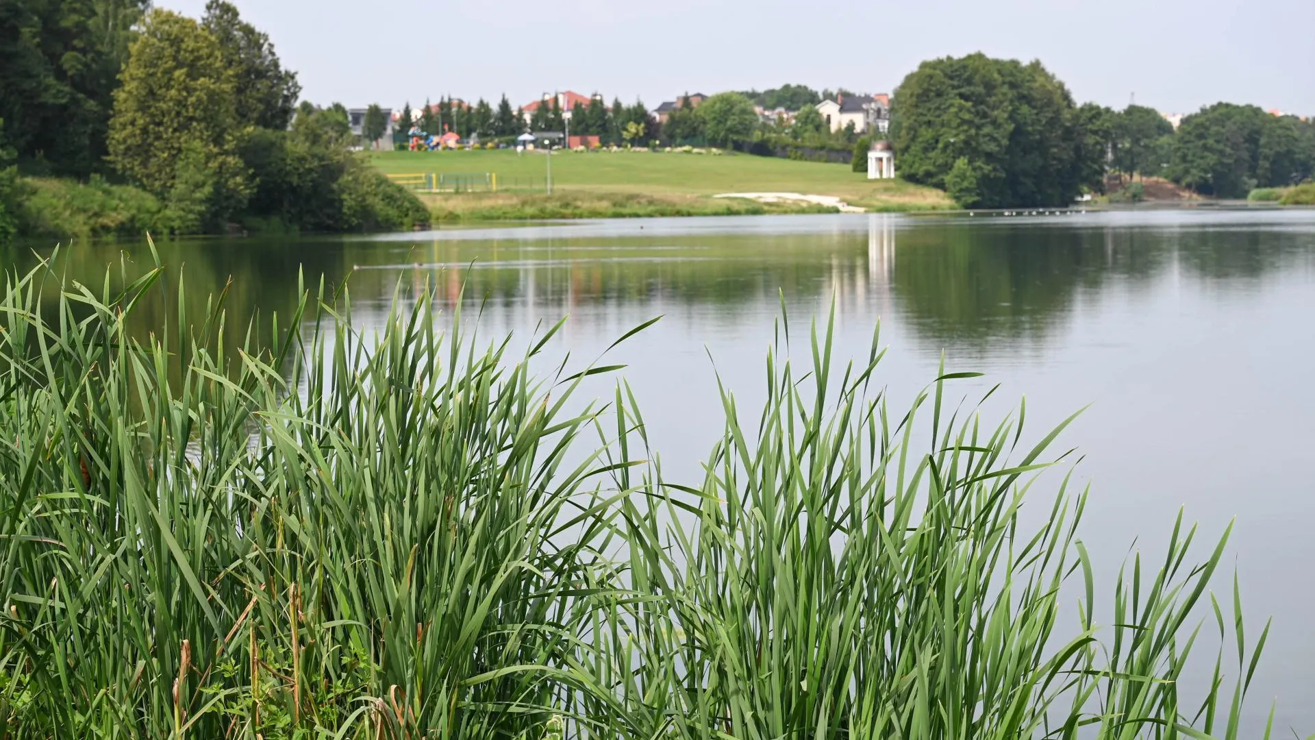 Пресс-служба администрации Ленинского городского округа