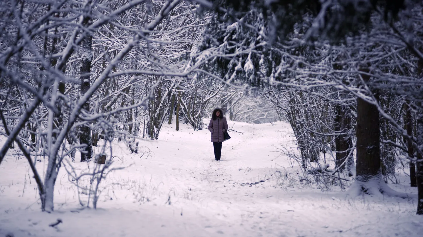 Фото: медиасток.рф