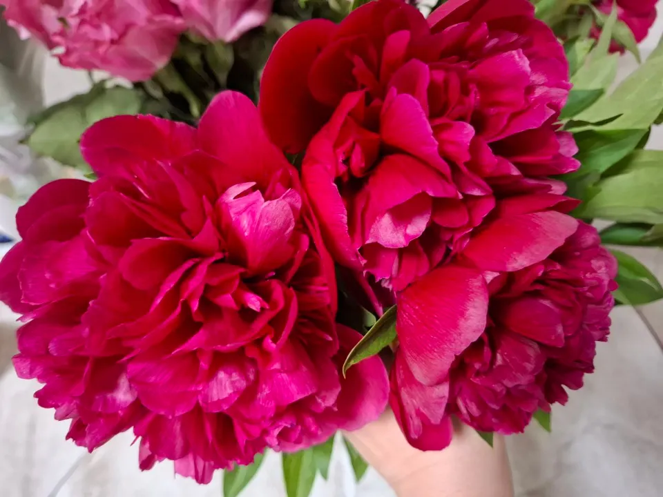 Фото: REGIONS/Юлия Габбасова