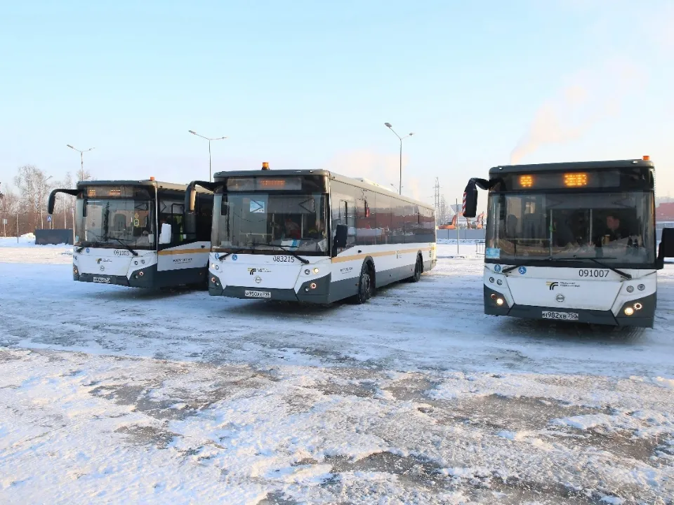 Фото: пресс-служба администрации г.о. Химки