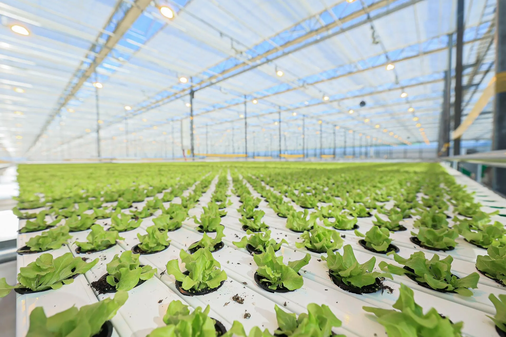 пресс-служба губернатора и правительства Московской области