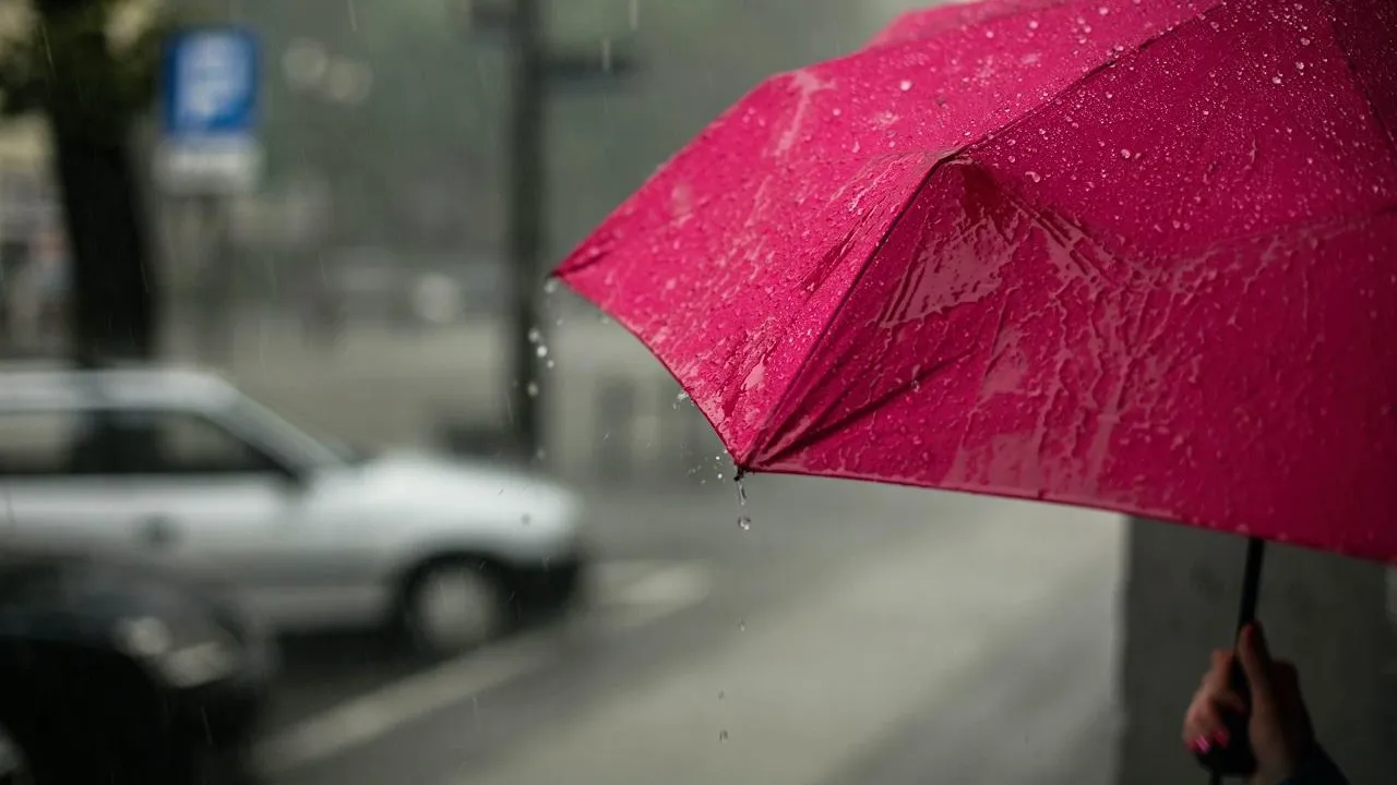 Umbrella