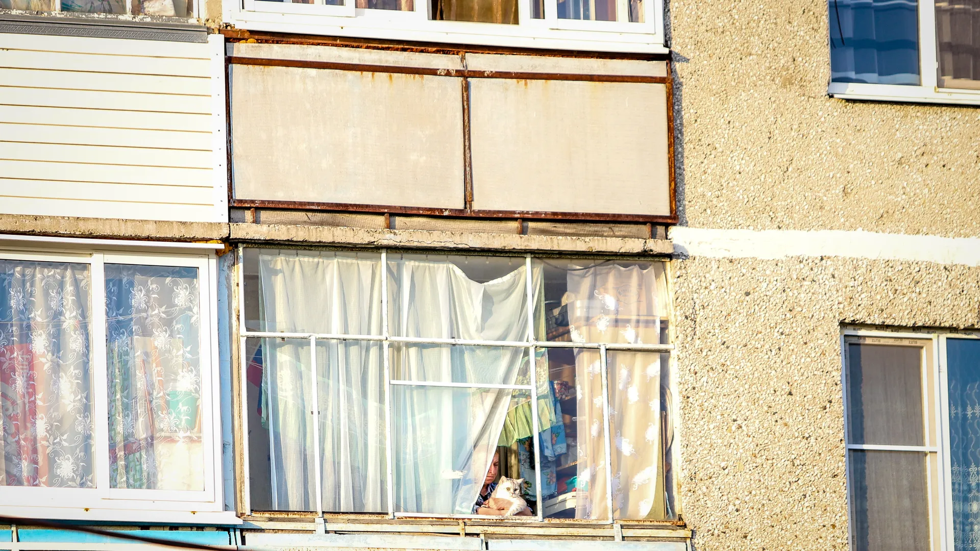 Фото: Владимир Лебедев