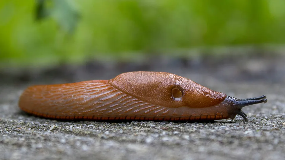 Фото: unsplash.com