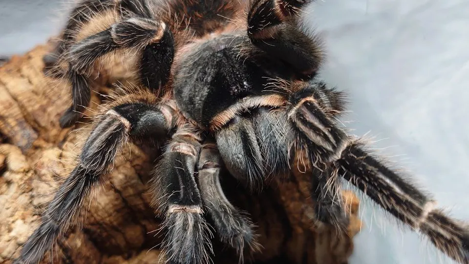 Фото: из личного архива Александра Чусова