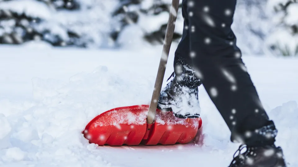 Фото: istockphoto.com/WDnet