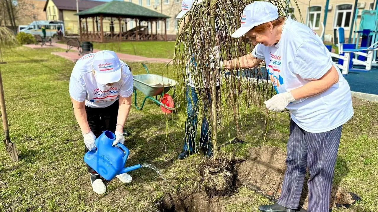Фото: Минсоцразвития МО