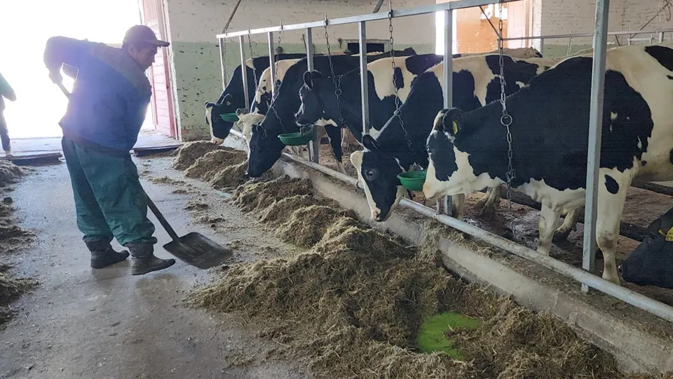 Фото: REGIONS/Валерий Гореловский