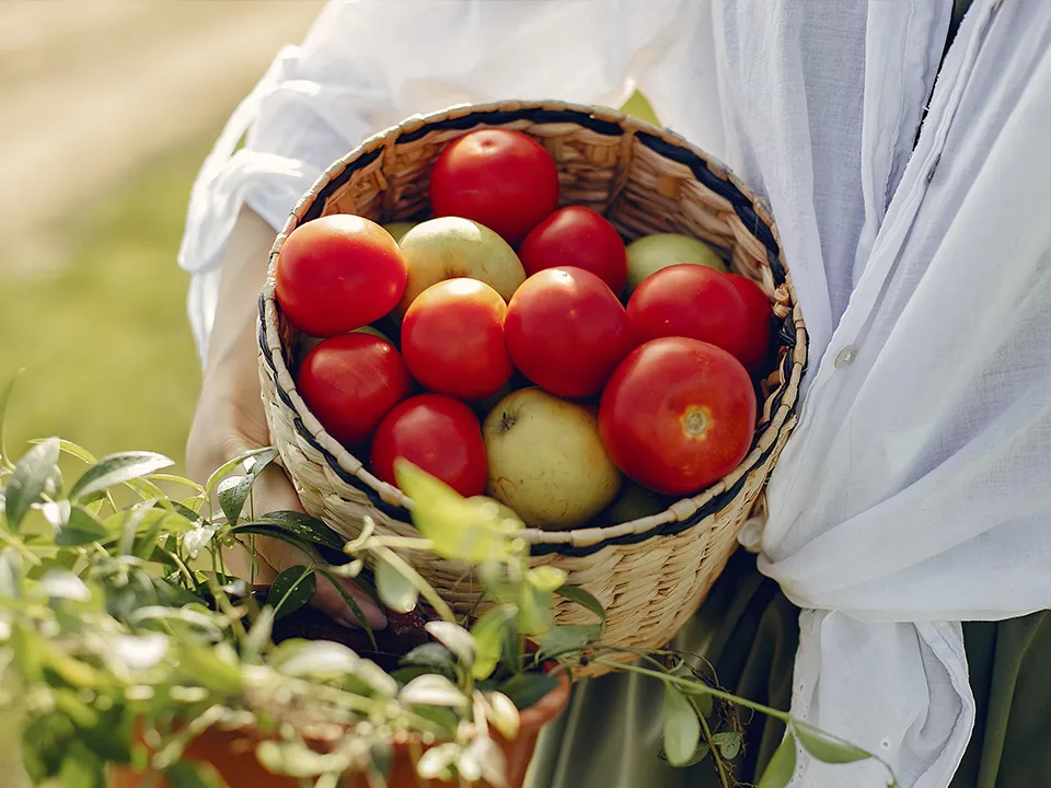 Фото: freepik.com