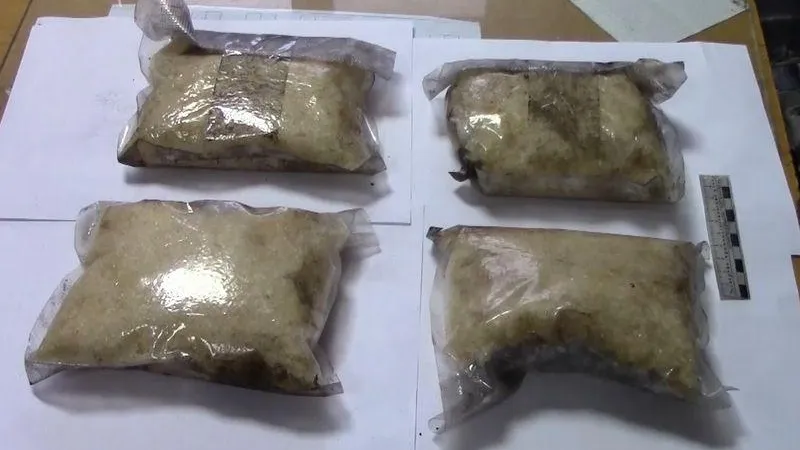 ГУ МВД по МО